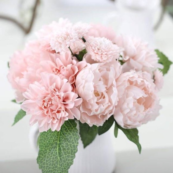 Meet your Posher, Katerina - Picture 1 of 1